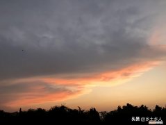 辛酉日柱女命