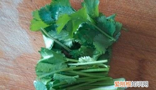 干锅羊肉的正宗做法,干锅羊肉丝的家常做法视频