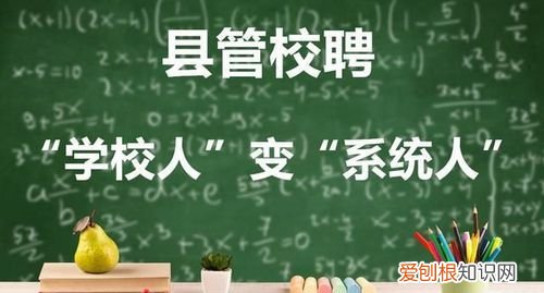 区管校聘几年一聘,区管校聘岗位申请理由