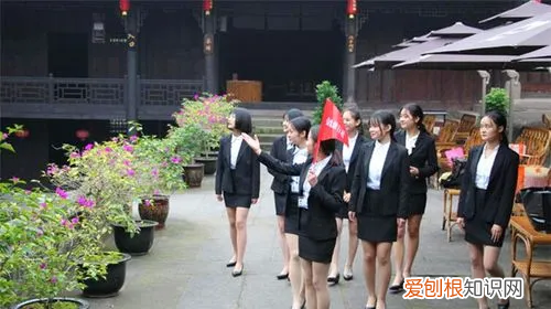 旅游大专学校有哪些,四川旅游学院有哪些专业