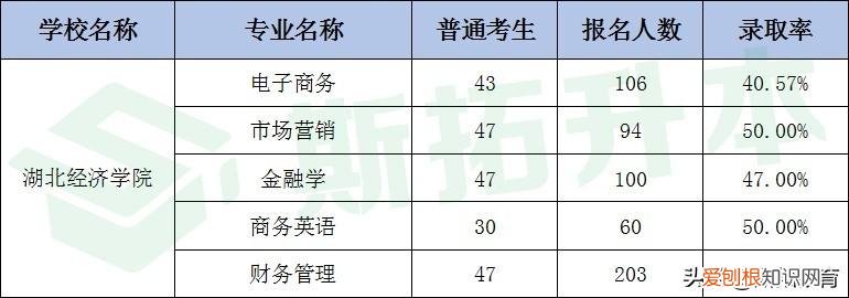 武汉经济学院