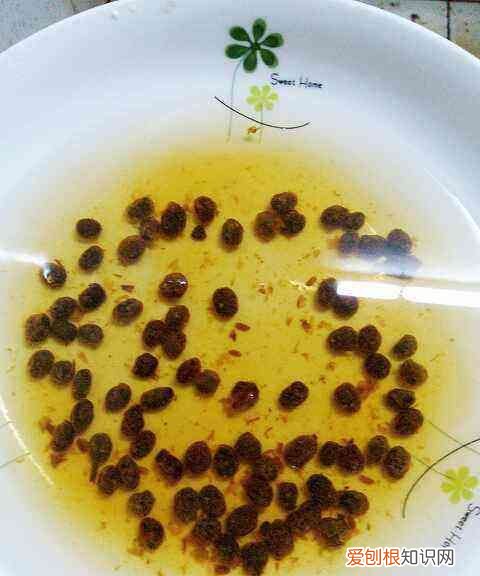 蒸粉肠的做法，广式粉肠的家常做法大全怎么做好吃又简单