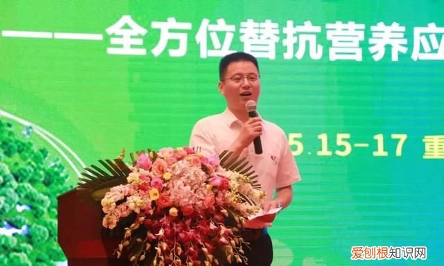 益生菌益生元合生元傻傻的分不清