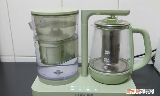 养生壶怎么煮奶茶窍门