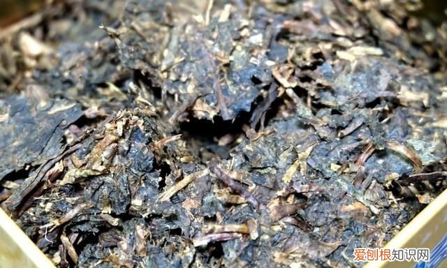 养生壶怎么煮奶茶窍门