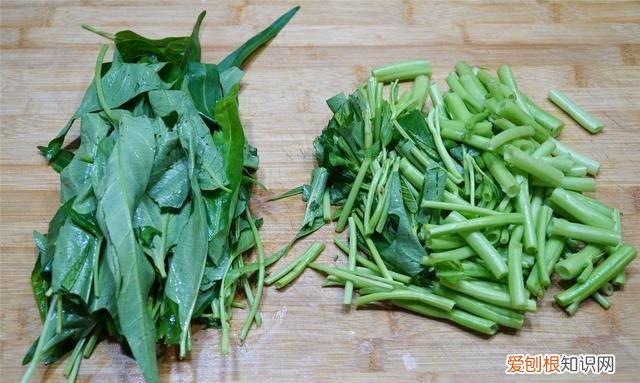 建议到了夏天这10样蔬菜多吃点