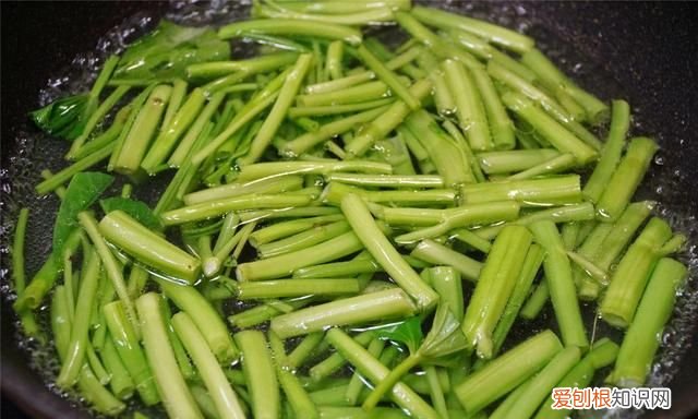 建议到了夏天这10样蔬菜多吃点