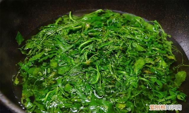 建议到了夏天这10样蔬菜多吃点
