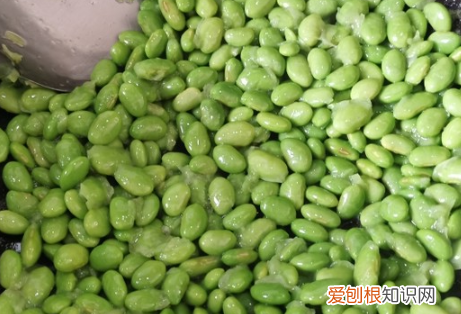 毛豆怎么可以长久保鲜,新鲜的毛豆怎样保鲜才吃的时间长