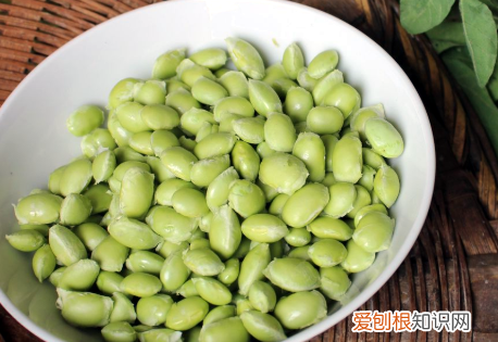 毛豆怎么可以长久保鲜,新鲜的毛豆怎样保鲜才吃的时间长