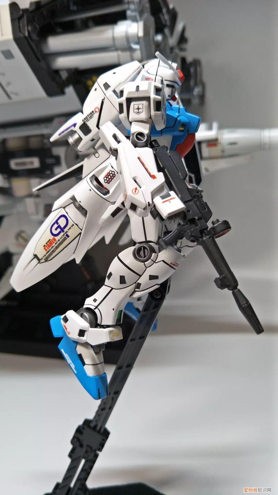 gp03d石斛兰1比144有多大
