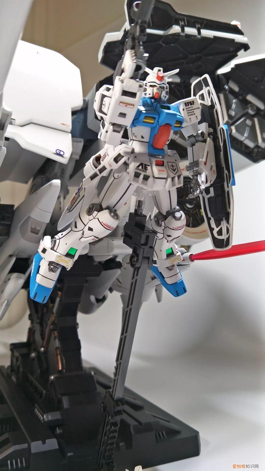 gp03d石斛兰1比144有多大