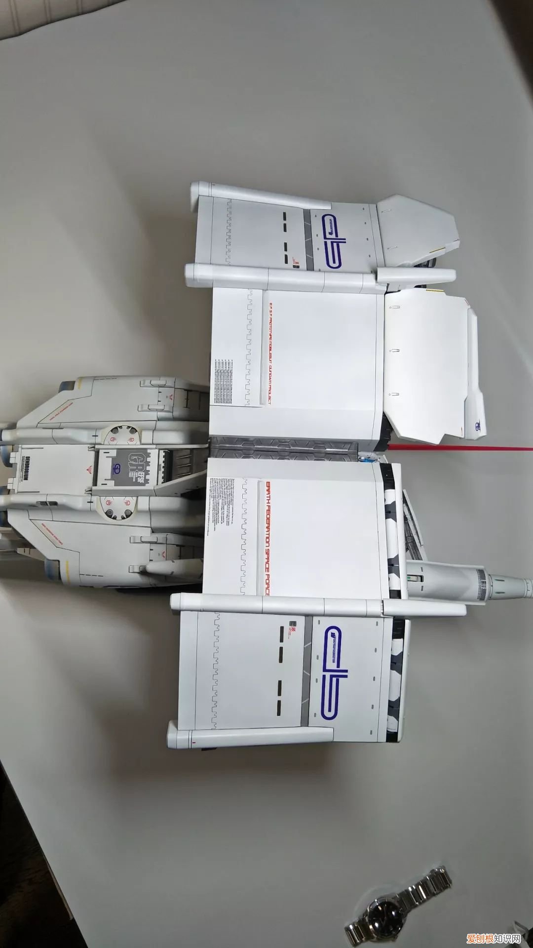 gp03d石斛兰1比144有多大