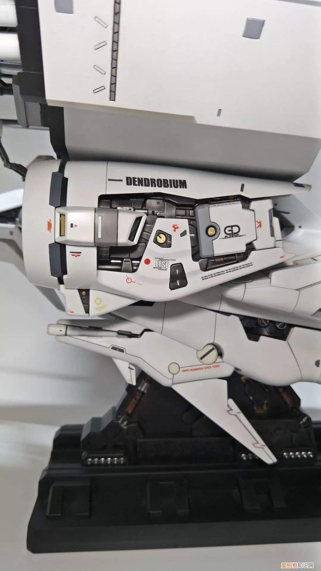 gp03d石斛兰1比144有多大