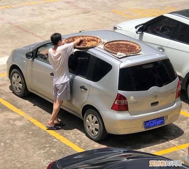如何晒黄皮干,黄皮干图片