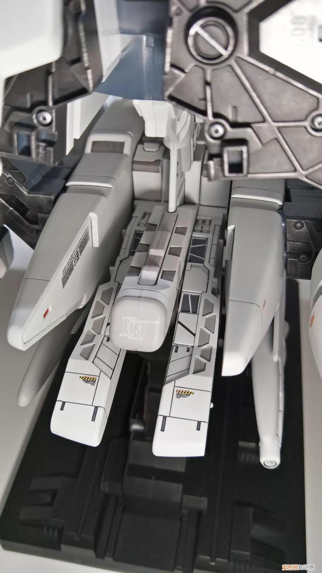 gp03d石斛兰1比144有多大