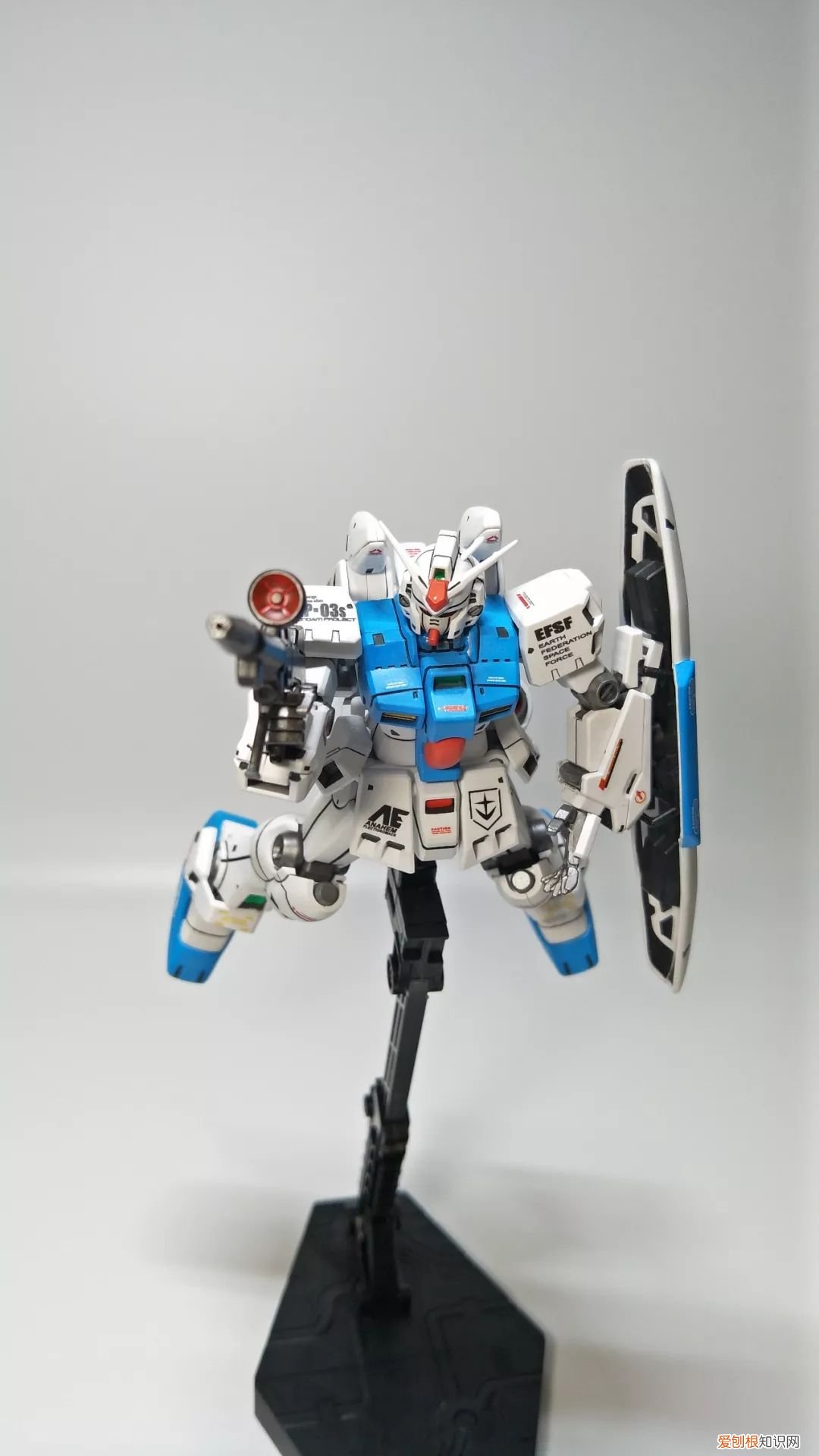gp03d石斛兰1比144有多大