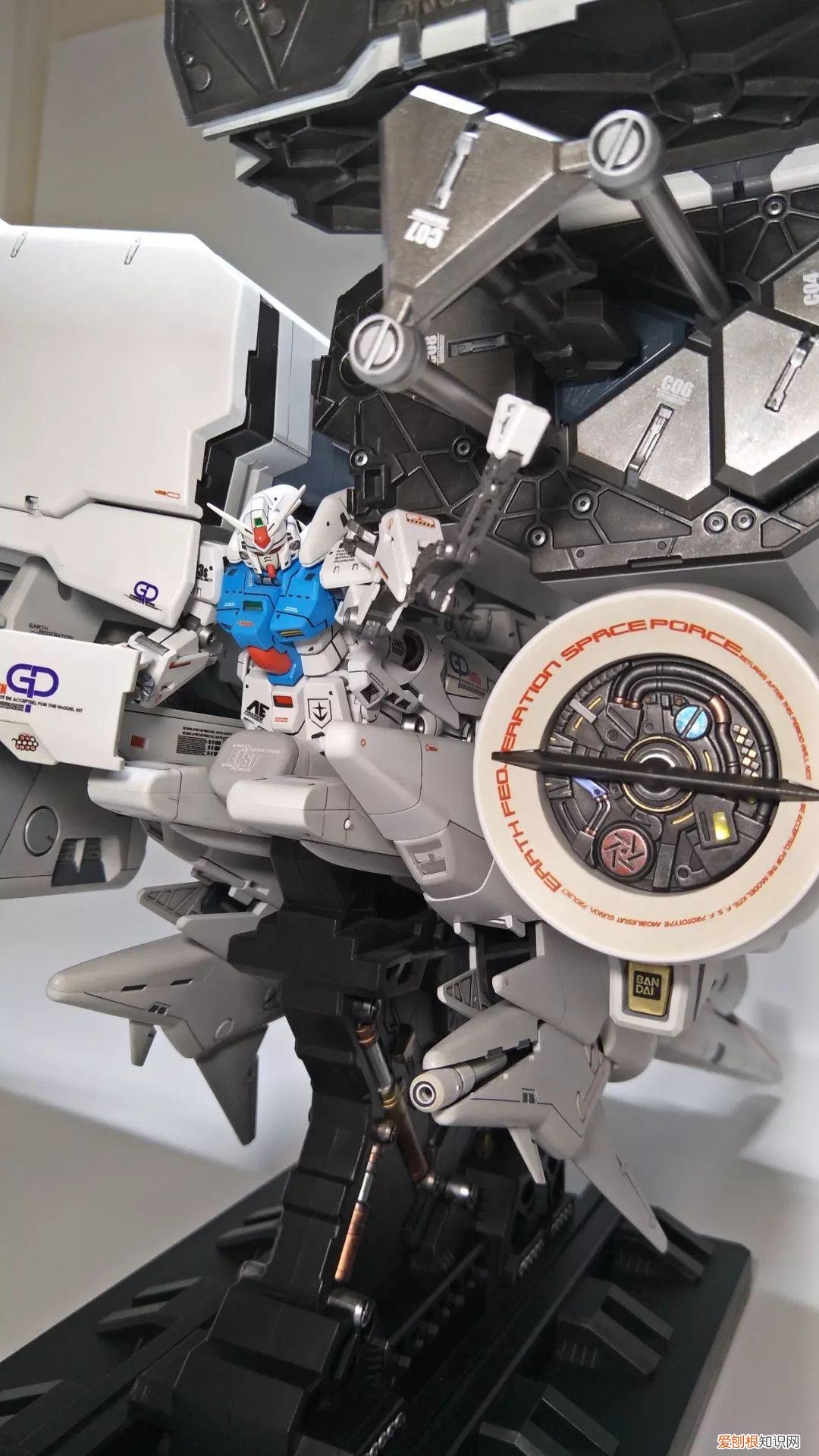 gp03d石斛兰1比144有多大