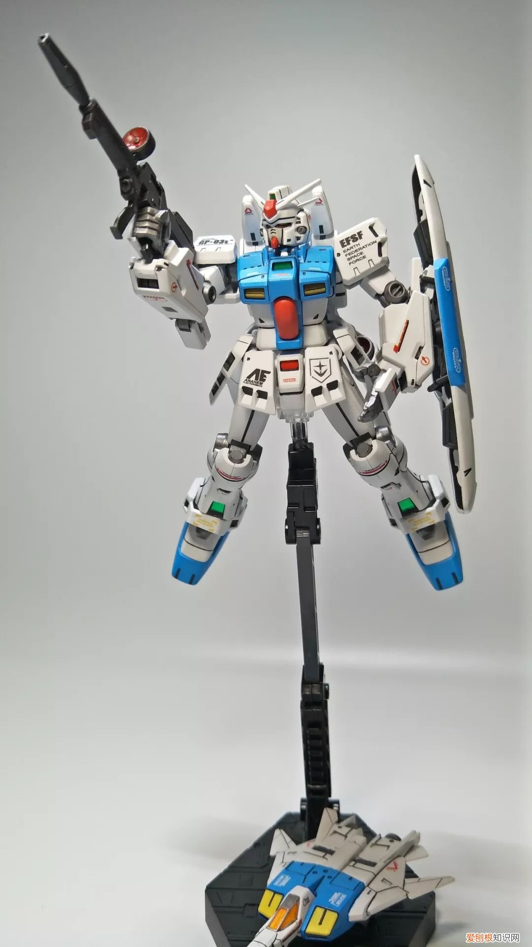 gp03d石斛兰1比144有多大