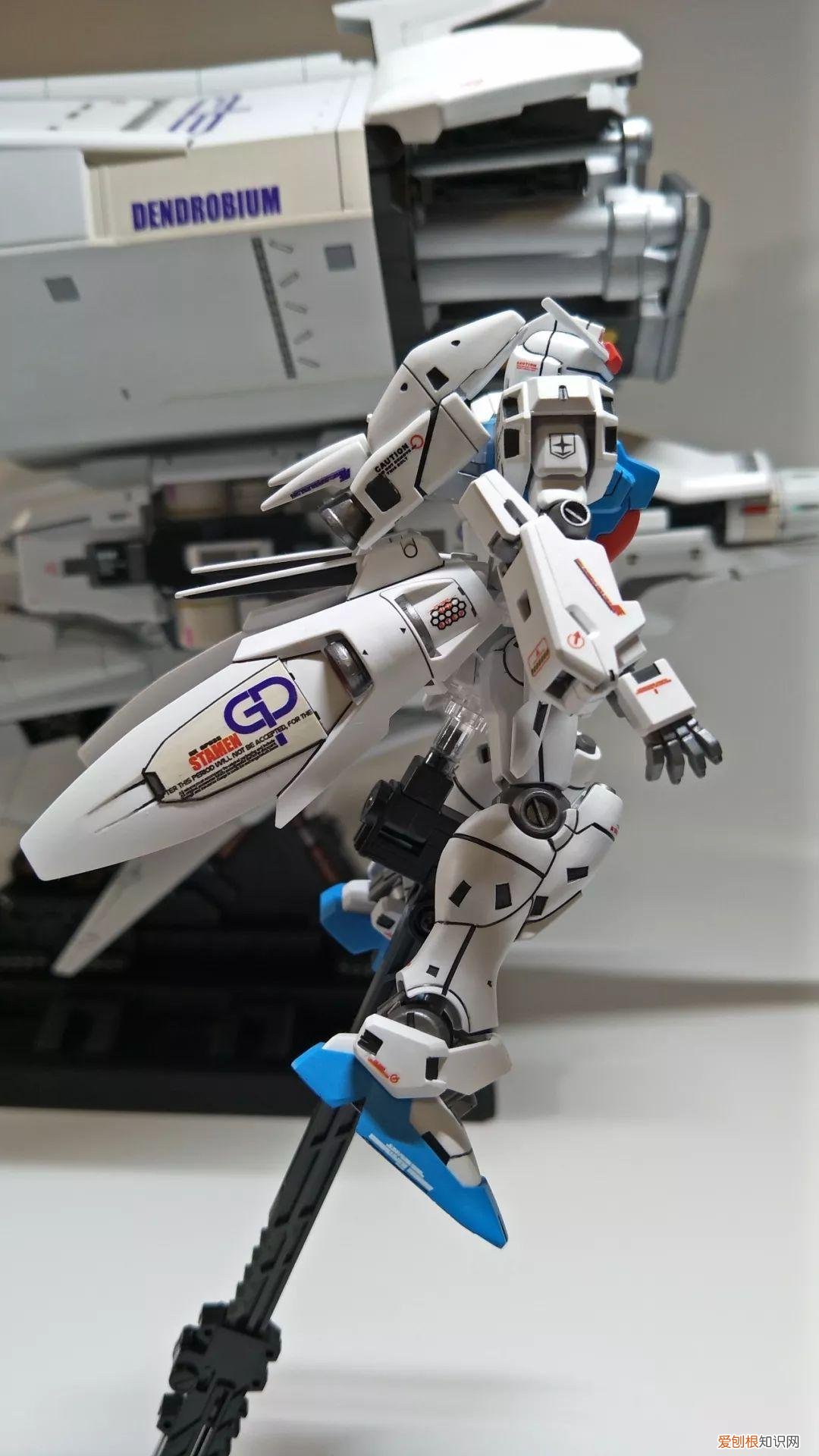 gp03d石斛兰1比144有多大