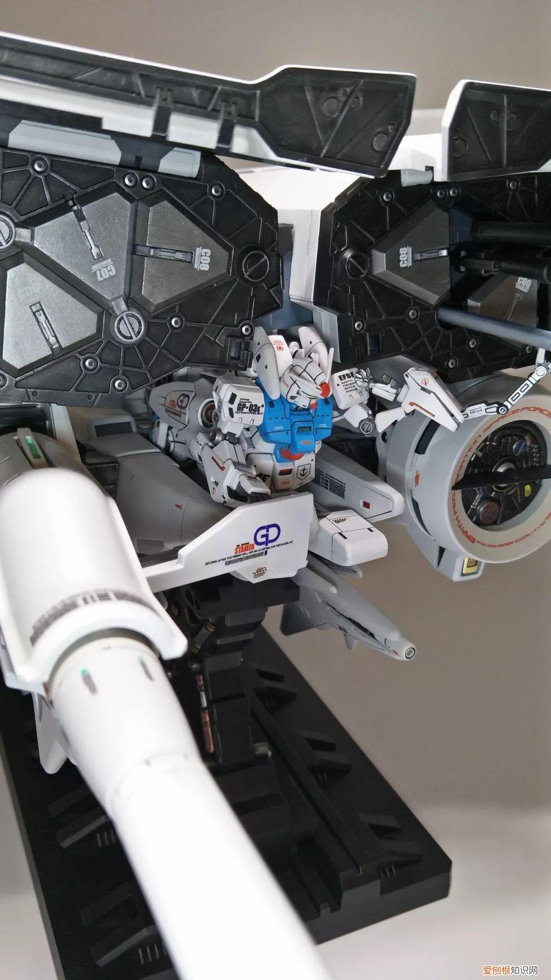 gp03d石斛兰1比144有多大