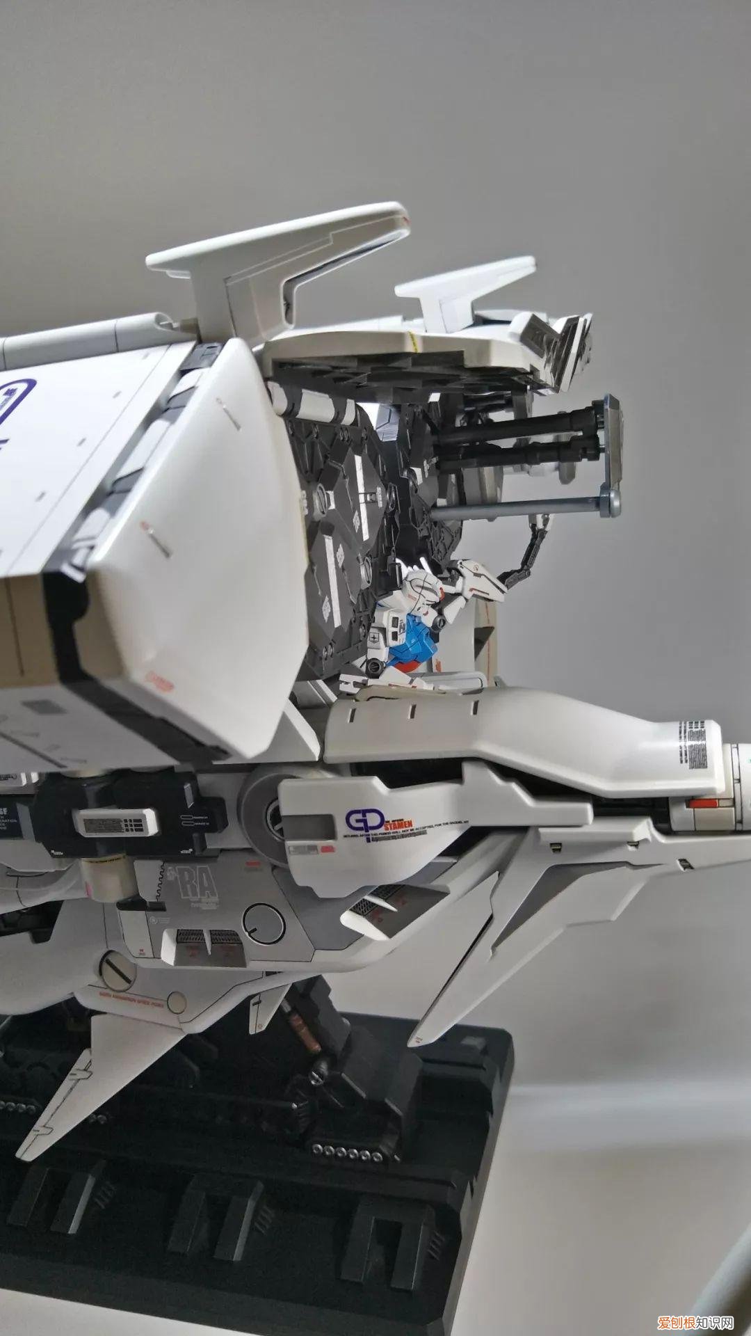 gp03d石斛兰1比144有多大