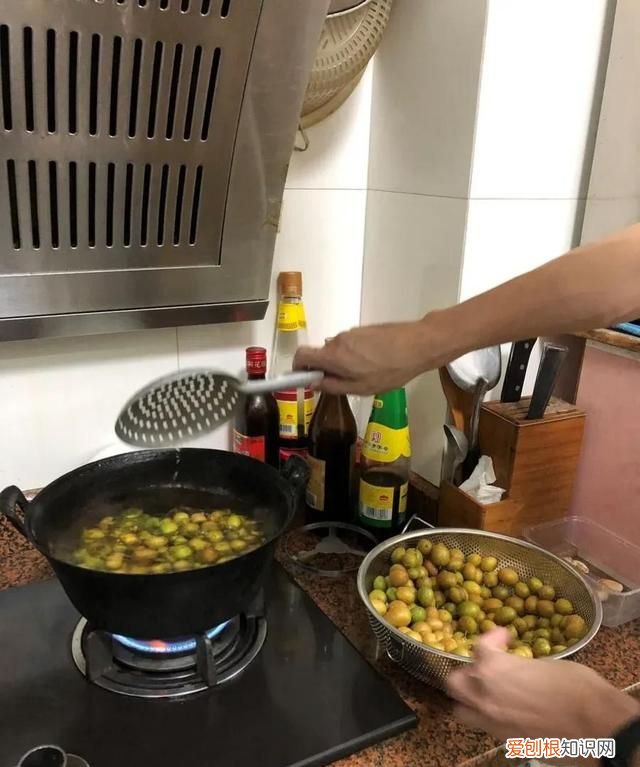 如何晒黄皮干,黄皮干图片