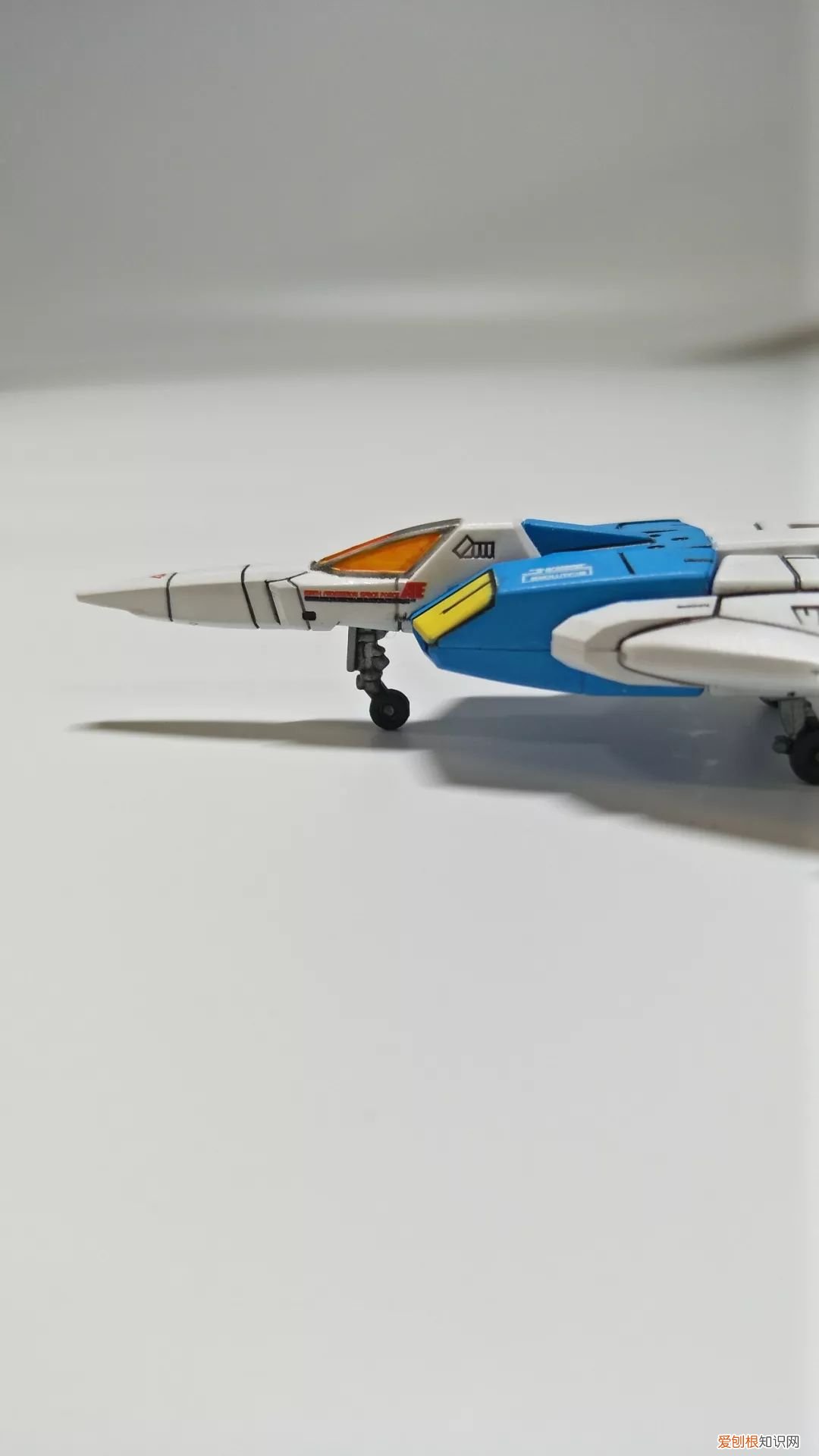 gp03d石斛兰1比144有多大