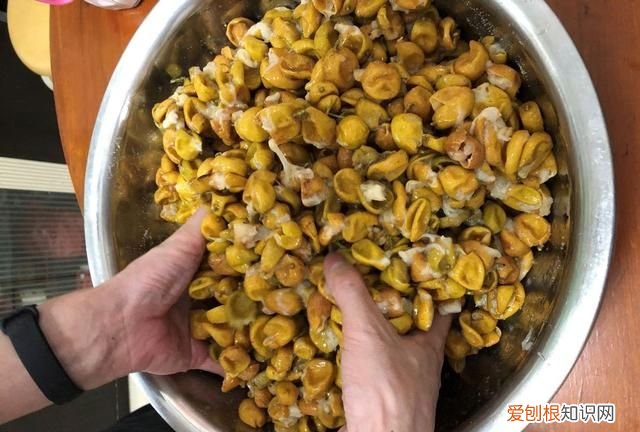 如何晒黄皮干,黄皮干图片