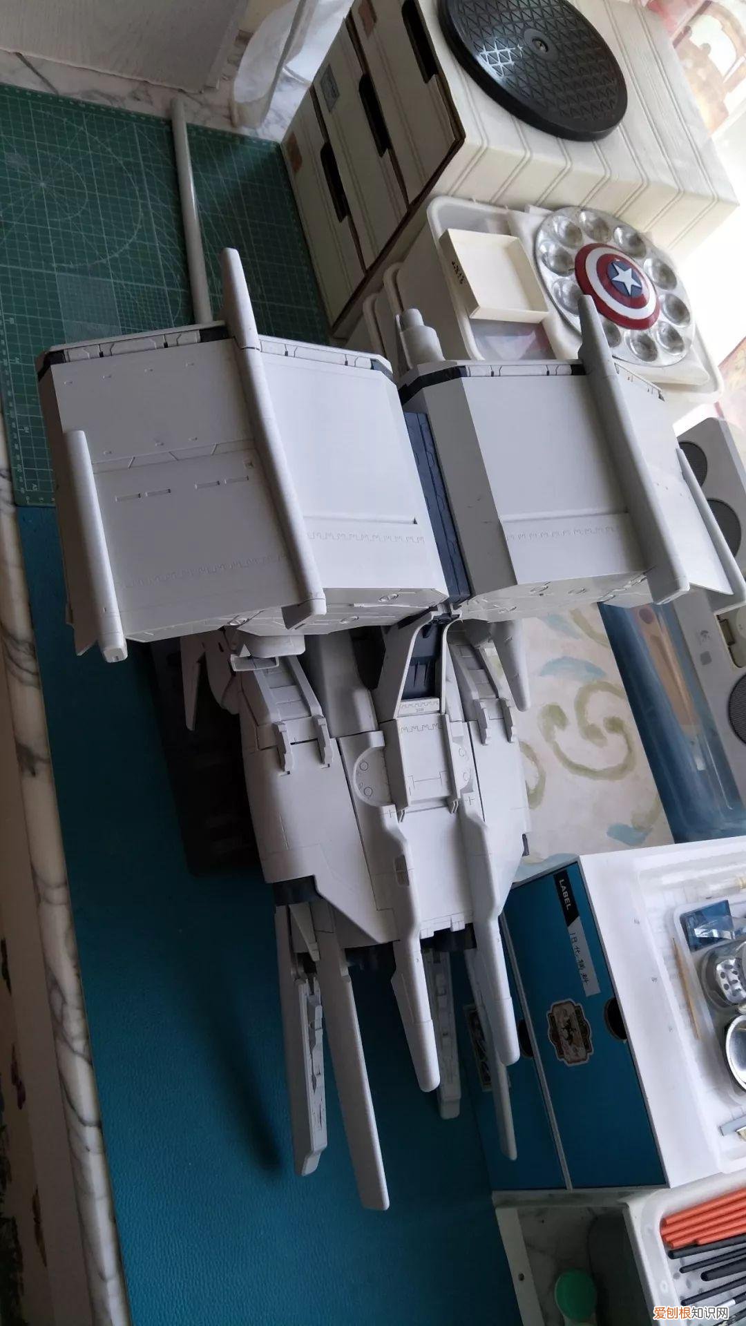 gp03d石斛兰1比144有多大