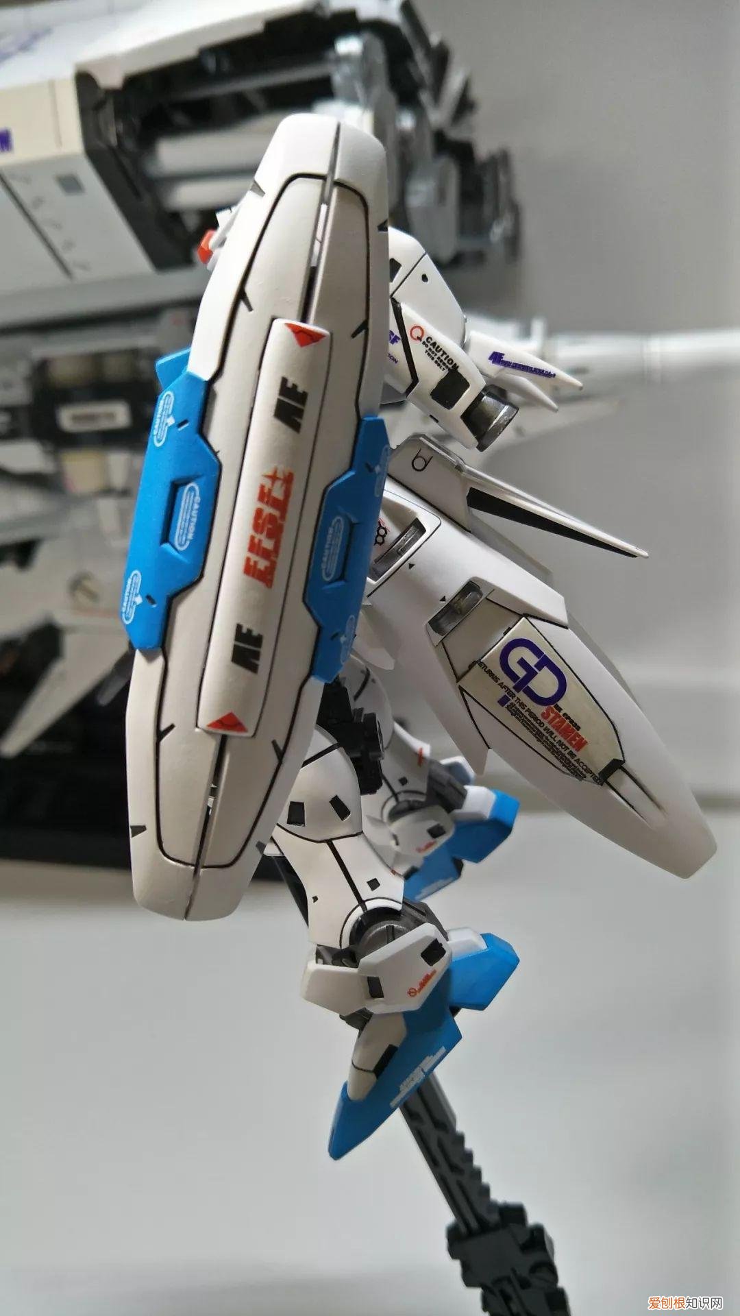gp03d石斛兰1比144有多大
