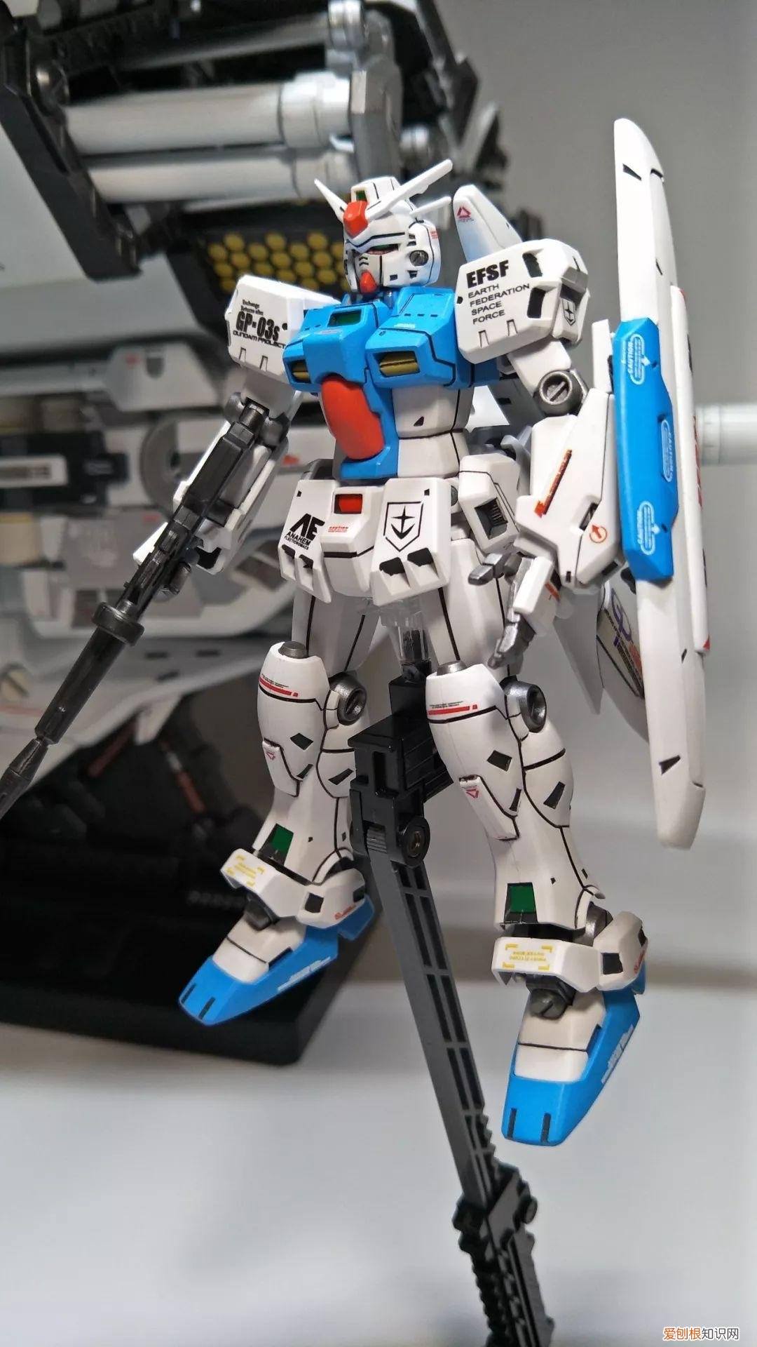 gp03d石斛兰1比144有多大