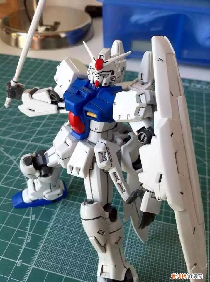 gp03d石斛兰1比144有多大