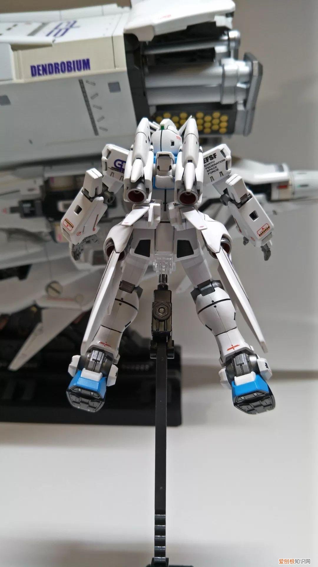 gp03d石斛兰1比144有多大
