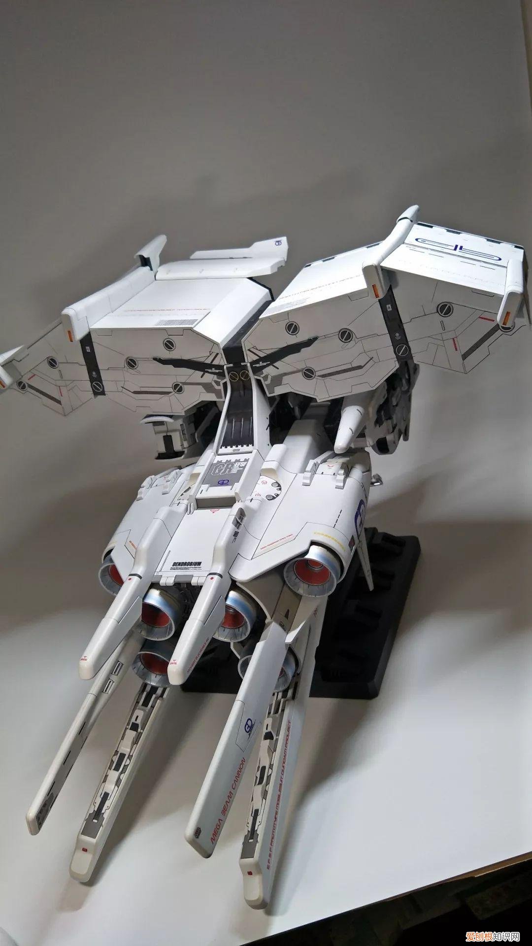 gp03d石斛兰1比144有多大