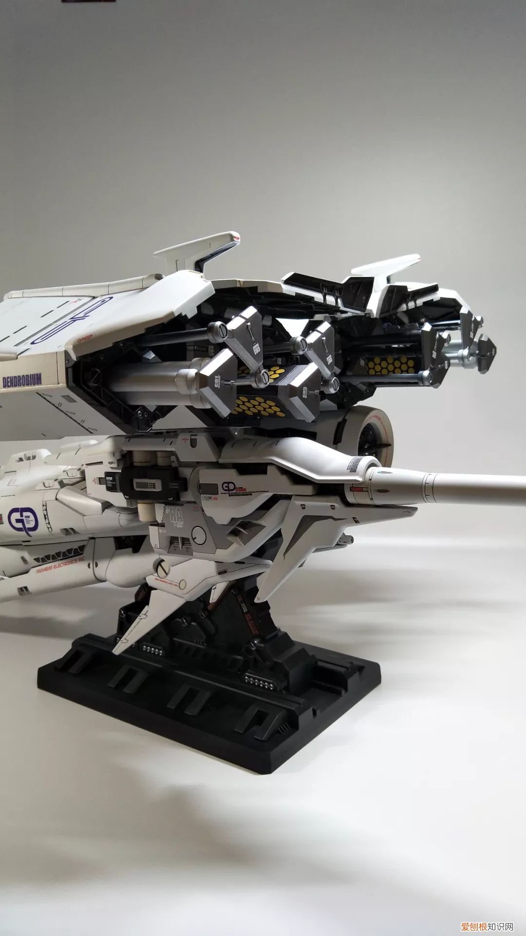 gp03d石斛兰1比144有多大