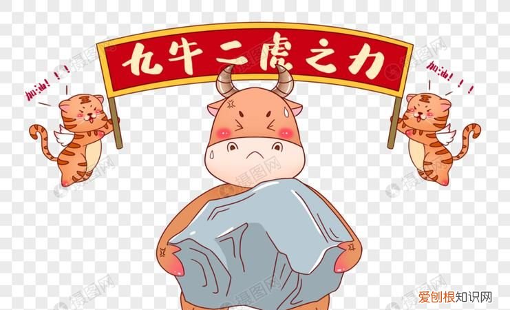 费了九牛二虎之力的意思是什么