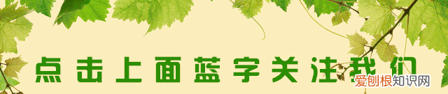 喝酒解酒最快最有效解酒药,春节喝多酒怎么醒酒