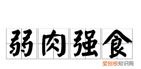 弱肉强食什么意思,强肉强食是什么意思