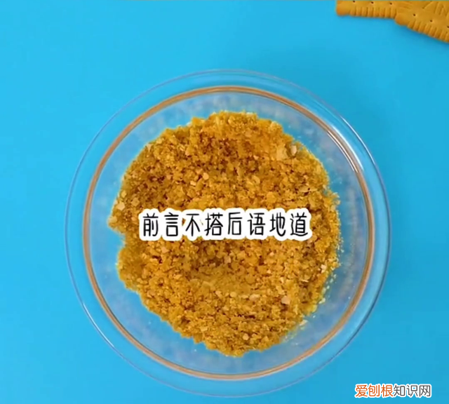 女主s调 调校啥意思