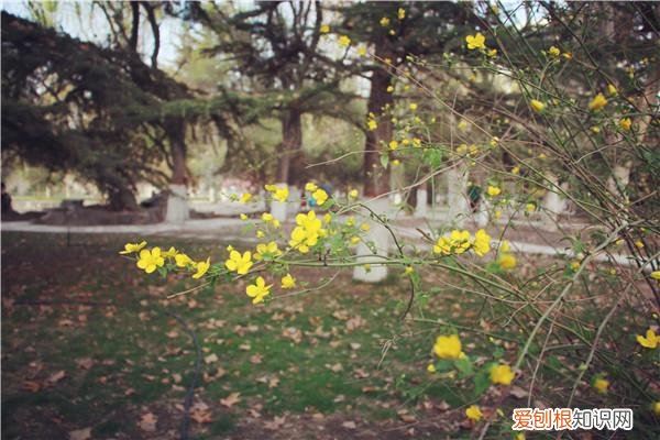 陈奕迅经典歌词