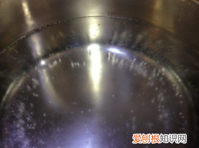 猪心怎么做好吃,猪心怎么做好吃又不腥