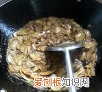 牛肝菌的做法步骤