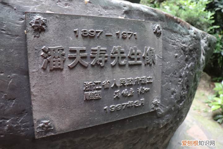 引用帅哥