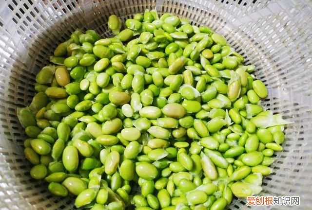 毛豆怎样保鲜到冬天吃