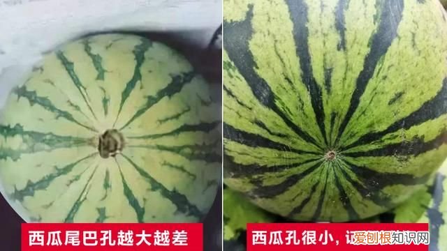 西瓜怎样挑才能挑到最甜的西瓜,西瓜怎样挑选才是最甜的