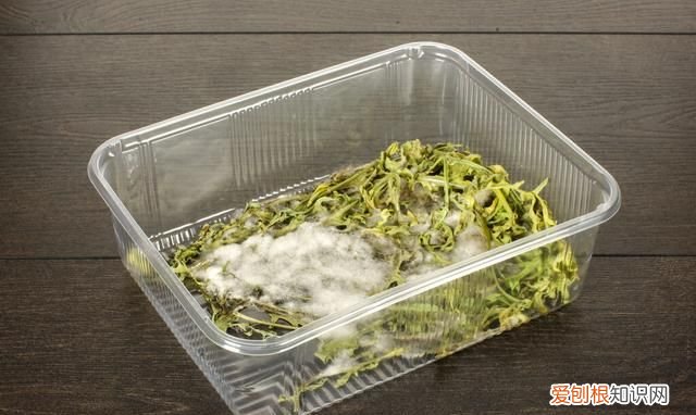 刚过保质期的食品到底能不能吃,一般过了保质期的食品还能吃吗