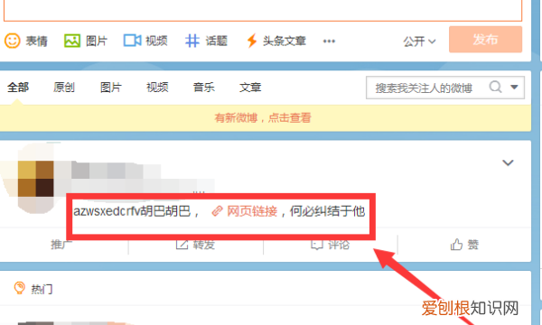 新浪微博正文链接怎么找,如何获取微博公开发表时的微博链接信息