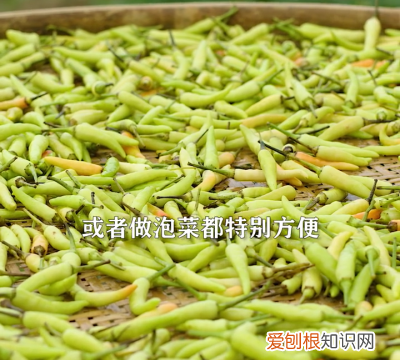 #夏日开胃餐# 自制泡椒做法,酸辣开胃,放一年都不坏