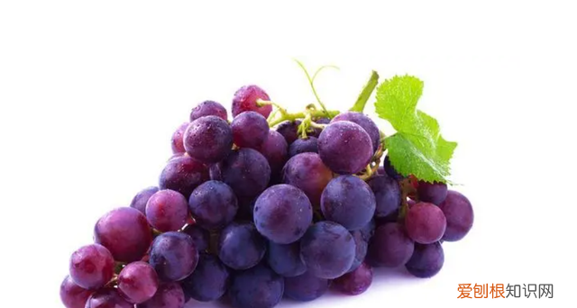 这几种水果皮可别扔它们都是宝